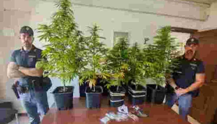 Roma, maxi operazione antidroga: 14 arresti in poche ore tra Tor Bella Monaca, Centocelle e Tufello