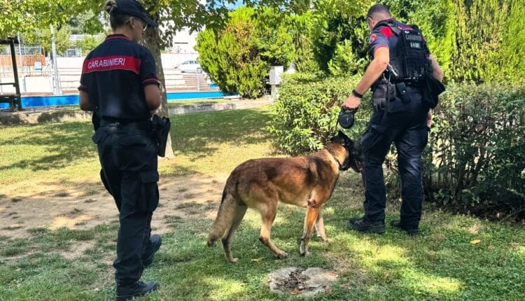 Jesi e Vallesina: controlli rafforzati dei Carabinieri per sicurezza e prevenzione