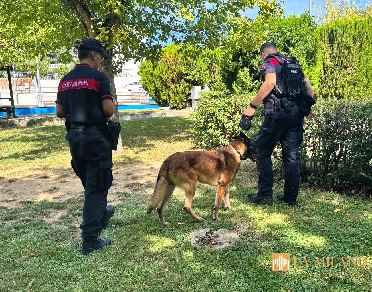 Jesi e Vallesina: controlli rafforzati dei Carabinieri per sicurezza e prevenzione
