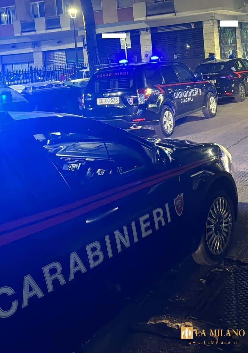 Nella giornata di domenica 28 settembre i Carabinieri della Compagnia di Pescara hanno messo in campo un’intensa attività di controllo del territorio che ha coinvolto più aree della città ed in particolar modo il quadrilatero di Piazza Santa Caterina da Siena, via Quarto dei Mille e via Edmondo De Amicis, nonché altre zone sensibili della città, con il prezioso supporto delle unità cinofile. L’operazione, supportata dal fiuto dei cani addestrati, si è articolata in più momenti distinti, tutti mirati al contrasto della microcriminalità ed al ripristino della sicurezza urbana. Sono state fermate 37 persone, di cui 13 stranieri, controllati a seguito di posto di controllo 18 veicoli nonché ispezionato un esercizio pubblico. Le attività hanno interessato veicoli in transito e soggetti a piedi, con accertamenti su documenti personali, responsabilità amministrative, possesso di sostanze stupefacenti ed armi improprie. Nel contesto del particolare servizio sono stati rintracciati due individui già colpiti da ordine di carcerazione che sono stati condotti nelle rispettive sedi detentive, a disposizione dell’Autorità Giudiziaria. L’attività, che rientra in un più ampio piano di prevenzione disposto dal Comando Provinciale, ha confermato l’efficacia della collaborazione tra pattuglie territoriali e Reparti specializzati. L’impiego delle unità cinofile, in particolare, ha consentito un controllo più capillare ed incisivo nelle aree a maggior rischio, aumentando la percezione di sicurezza tra cittadini e commercianti. La presenza delle Forze dell’Ordine ed il costante presidio del territorio resta la migliore forma di prevenzione e contrasto alla criminalità.
