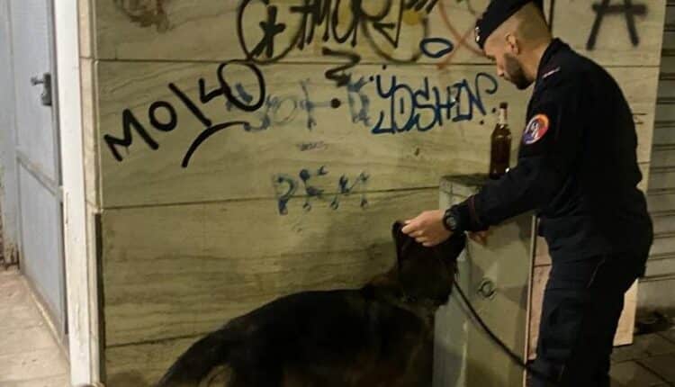Carabinieri della Compagnia di Pescara hanno messo in campo un’intensa attività di controllo del territorio