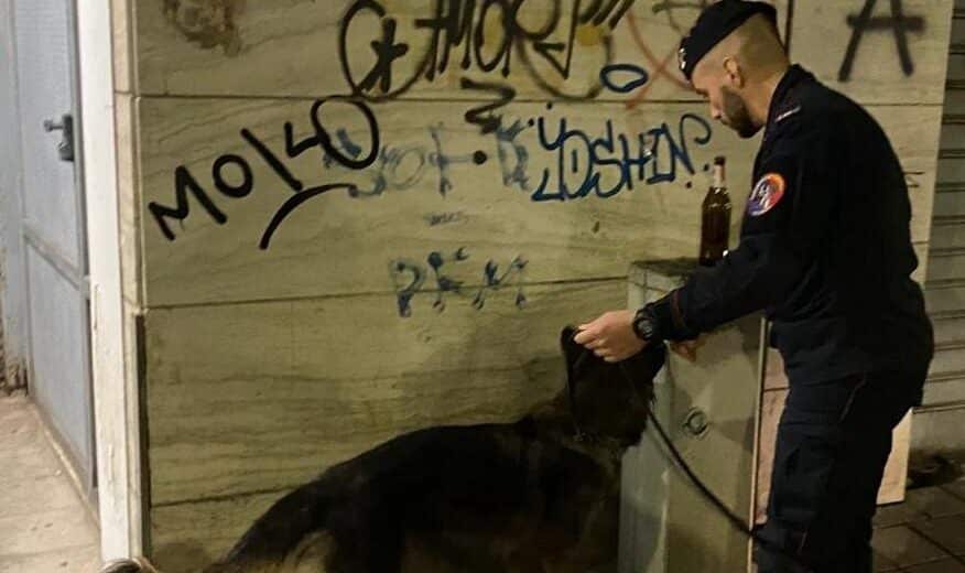 Nella giornata di domenica 28 settembre i Carabinieri della Compagnia di Pescara hanno messo in campo un’intensa attività di controllo del territorio che ha coinvolto più aree della città ed in particolar modo il quadrilatero di Piazza Santa Caterina da Siena, via Quarto dei Mille e via Edmondo De Amicis, nonché altre zone sensibili della città, con il prezioso supporto delle unità cinofile. L’operazione, supportata dal fiuto dei cani addestrati, si è articolata in più momenti distinti, tutti mirati al contrasto della microcriminalità ed al ripristino della sicurezza urbana. Sono state fermate 37 persone, di cui 13 stranieri, controllati a seguito di posto di controllo 18 veicoli nonché ispezionato un esercizio pubblico. Le attività hanno interessato veicoli in transito e soggetti a piedi, con accertamenti su documenti personali, responsabilità amministrative, possesso di sostanze stupefacenti ed armi improprie. Nel contesto del particolare servizio sono stati rintracciati due individui già colpiti da ordine di carcerazione che sono stati condotti nelle rispettive sedi detentive, a disposizione dell’Autorità Giudiziaria. L’attività, che rientra in un più ampio piano di prevenzione disposto dal Comando Provinciale, ha confermato l’efficacia della collaborazione tra pattuglie territoriali e Reparti specializzati. L’impiego delle unità cinofile, in particolare, ha consentito un controllo più capillare ed incisivo nelle aree a maggior rischio, aumentando la percezione di sicurezza tra cittadini e commercianti. La presenza delle Forze dell’Ordine ed il costante presidio del territorio resta la migliore forma di prevenzione e contrasto alla criminalità.