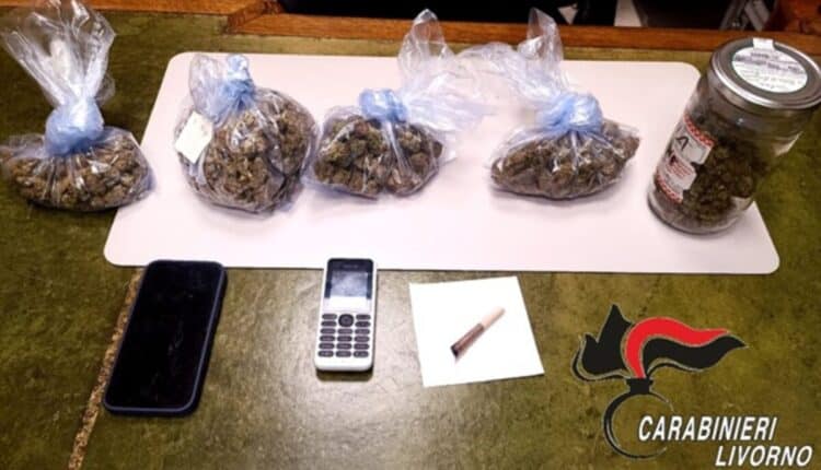Livorno, arrestato 50enne per detenzione e spaccio di marijuana a Donoratico