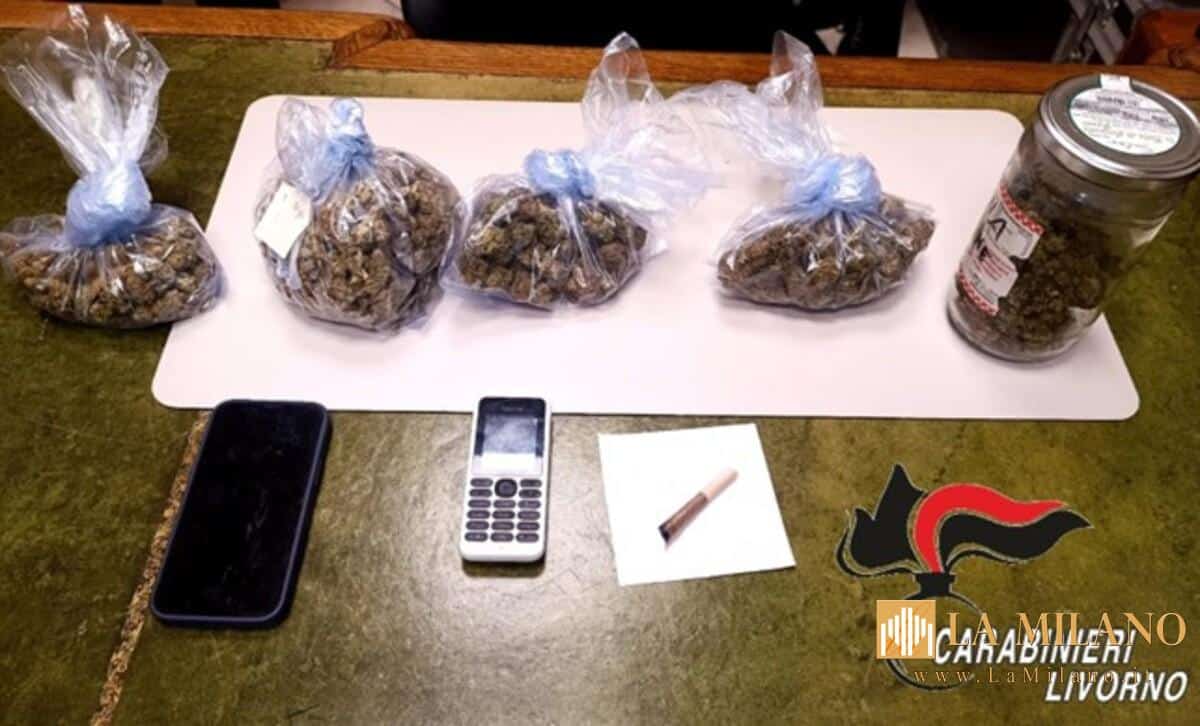 Livorno, arrestato 50enne per detenzione e spaccio di marijuana a Donoratico