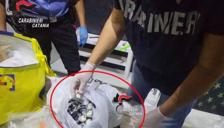 Catania: sequestrati oltre 12 kg di droga dai Carabinieri