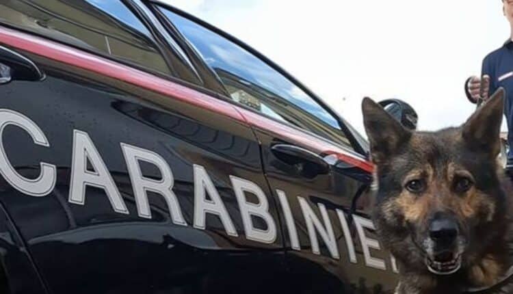 Mondragone, operazione dei Carabinieri ai “Palazzi Azzurri”: spaccio, furti di energia e contrabbando