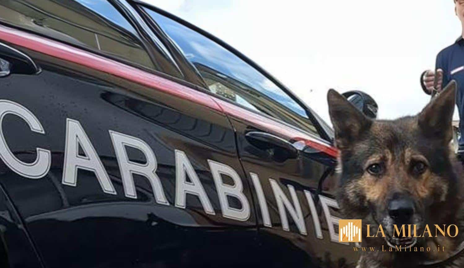 Mondragone, operazione dei Carabinieri ai “Palazzi Azzurri”: spaccio, furti di energia e contrabbando