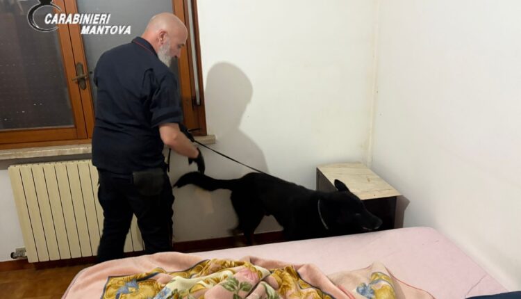 Ostiglia, arrestato 47enne: sequestrati cocaina e hashish dai Carabinieri