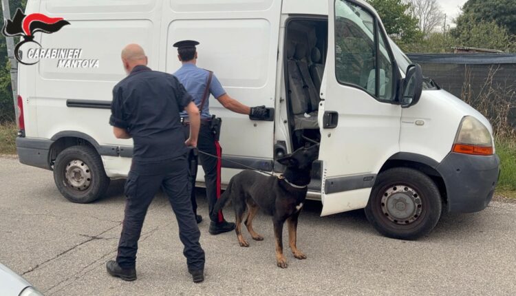 Ostiglia, arrestato 47enne: sequestrati cocaina e hashish dai Carabinieri