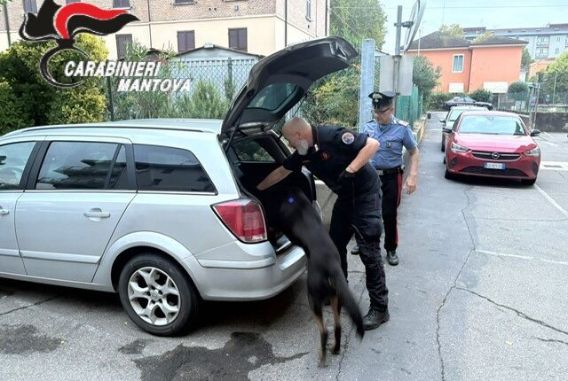 Ostiglia, arrestato 47enne: sequestrati cocaina e hashish dai Carabinieri