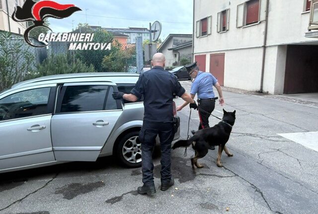 Ostiglia, arrestato 47enne: sequestrati cocaina e hashish dai Carabinieri