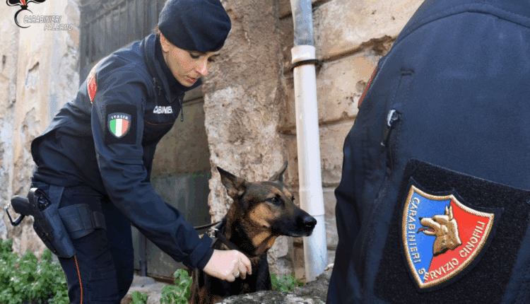 Palermo: due arresti e una denuncia per spaccio di droga