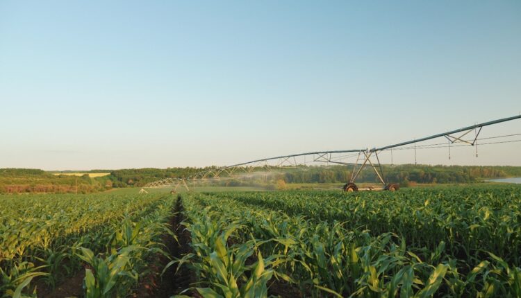 Risparmiare acqua e risorse: la gestione smart dell’irrigazione con Plantvoice