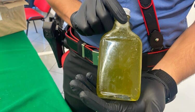 Sant’Antonio Abate, la marijuana finisce nel brindisi: sequestrati liquori e 24enne arrestato