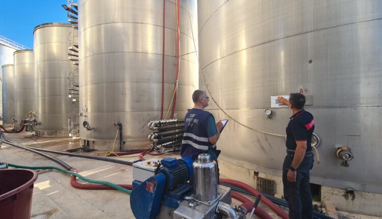 Lecce: sequestrati 1.500 quintali di falso Primitivo IGP, valore oltre 1,5 milioni di euro
