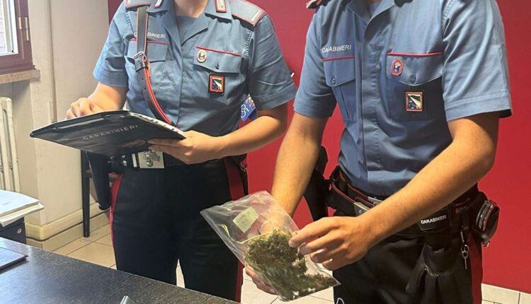 Comacchio: arrestato 34enne per detenzione e spaccio di marijuana