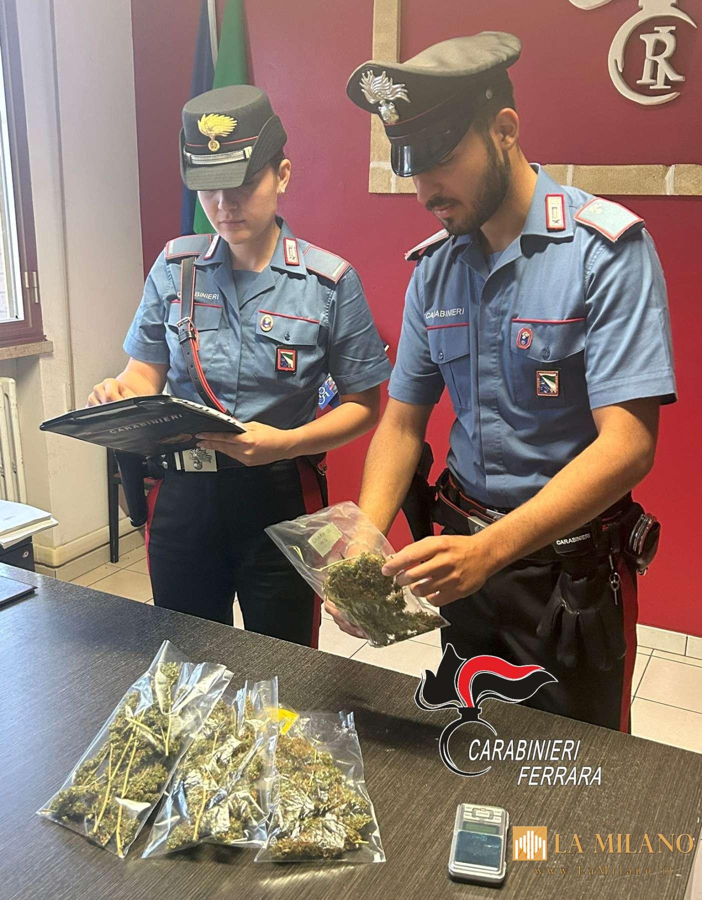 Comacchio: arrestato 34enne per detenzione e spaccio di marijuana