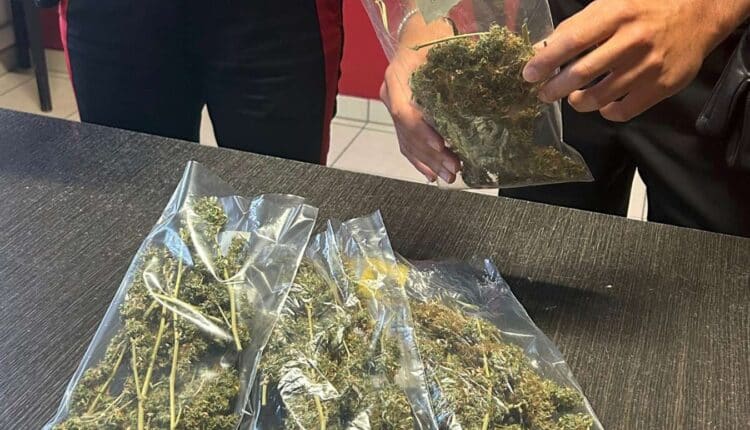 Comacchio: arrestato 34enne per detenzione e spaccio di marijuana
