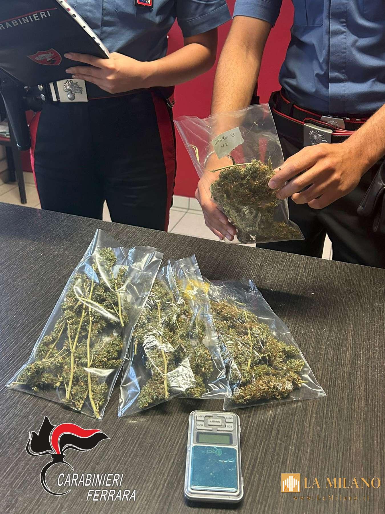 Comacchio: arrestato 34enne per detenzione e spaccio di marijuana