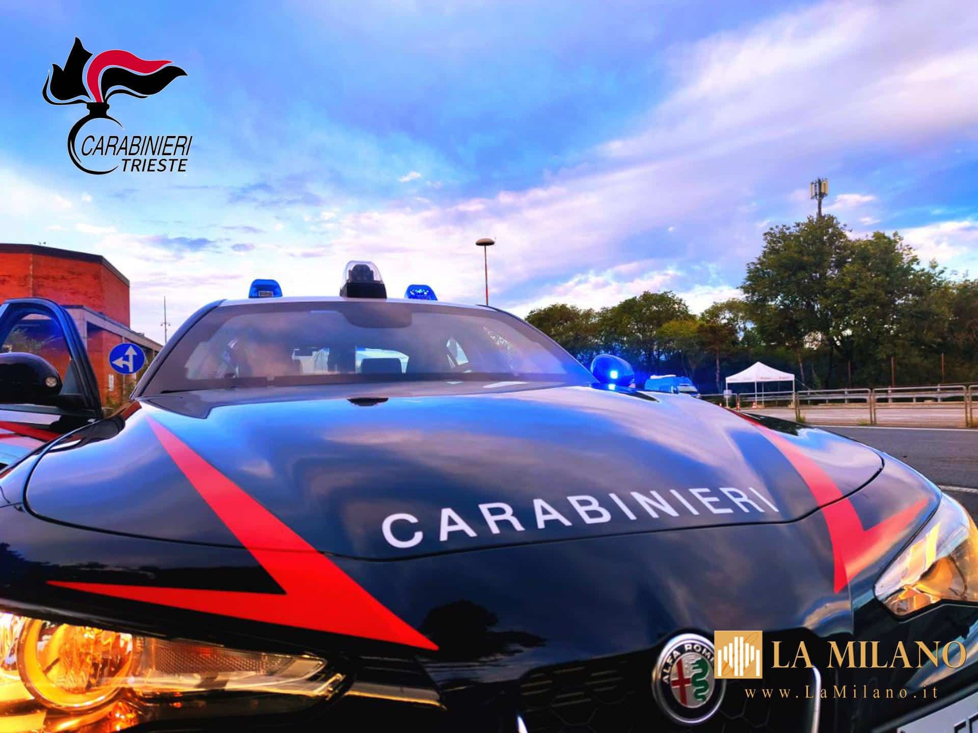 Trieste: Carabinieri arrestano cittadino per furti e falsificazione documenti