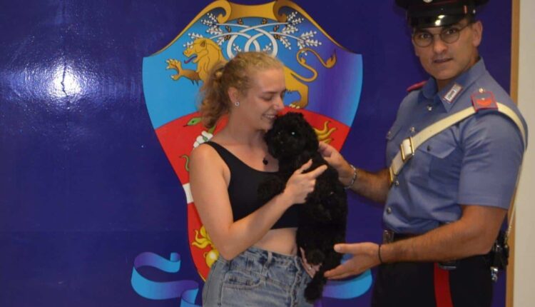 Rieti: barboncino smarrito salvato dai Carabinieri lungo la via Salaria