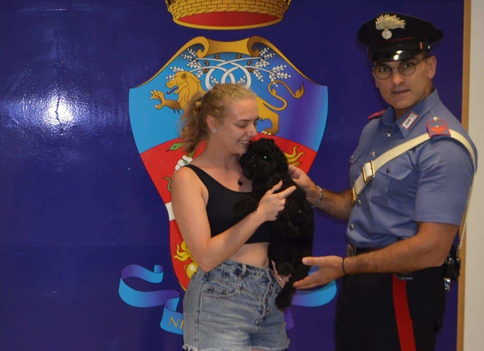 Rieti: barboncino smarrito salvato dai Carabinieri lungo la via Salaria