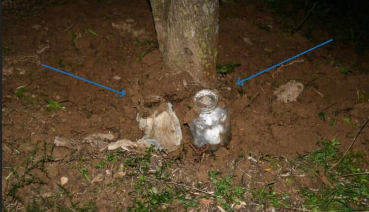 Civitavecchia, smantellata organizzazione criminale: droga, armi e incendi dolosi