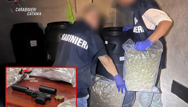 Catania, maxi-sequestro dei Carabinieri: 30 kg di marijuana e pistola clandestina con silenziatori