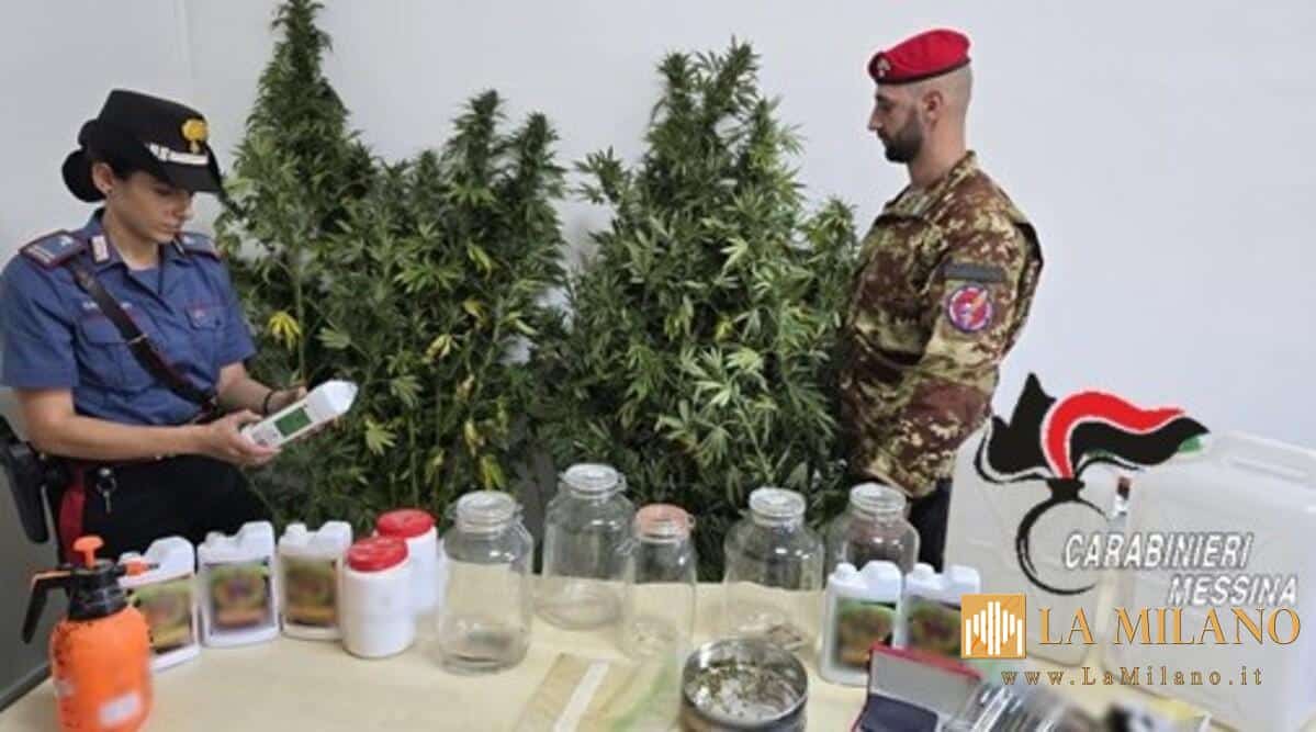 Messina, scoperta piantagione di marijuana a San Filippo: arrestati due 32enni