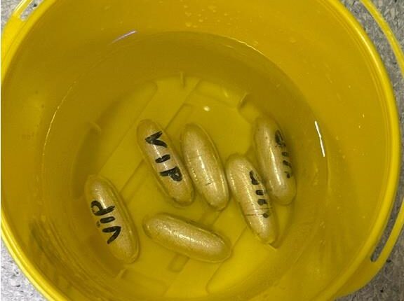 Bergamo, arrestata a Orio al Serio passeggera con 120 ovuli di eroina ingeriti