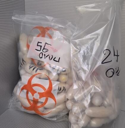 Bergamo, arrestata a Orio al Serio passeggera con 120 ovuli di eroina ingeriti