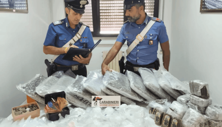 Lecce, operazione “Pit Bull” nel Sud Salento: 18 indagati e 20 chili di droga sequestrati