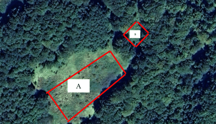 Monte Armeno: scoperta maxi piantagione di marijuana, sequestrate oltre mille piante.