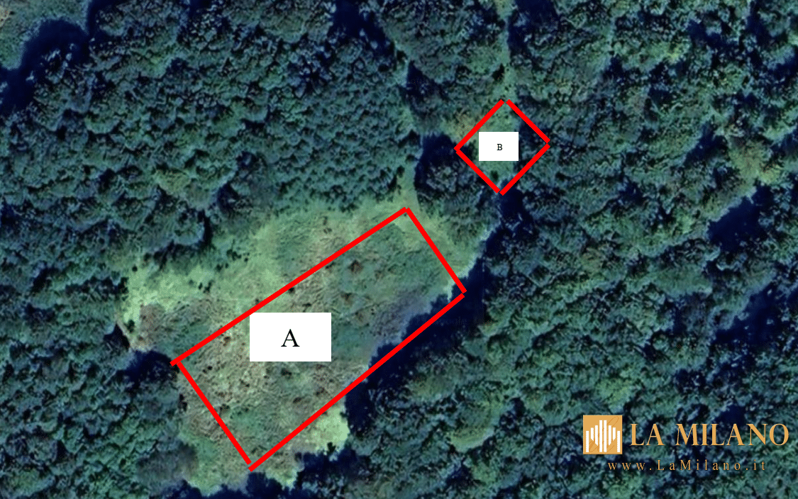 Monte Armeno: scoperta maxi piantagione di marijuana, sequestrate oltre mille piante.