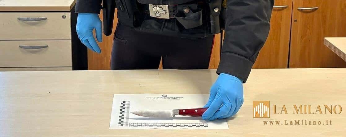 Bologna: accoltella il padre dopo una lite in casa, arrestato 18enne a Borgo Panigale-Reno.