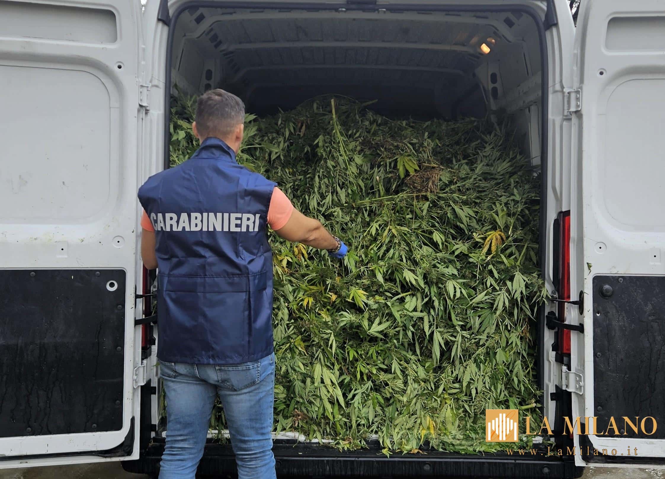 Terralba, maxi piantagione di marijuana scoperta nell’operazione “Five Eyes”: 9 arresti tra cui un minorenne