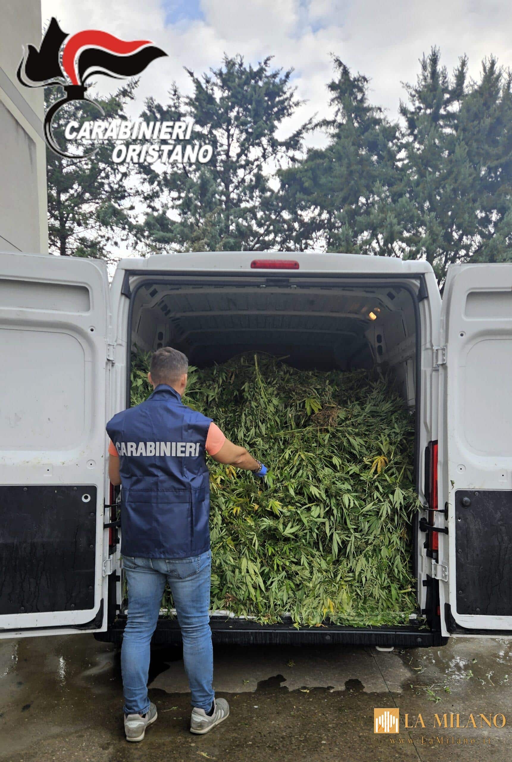 Terralba, maxi piantagione di marijuana scoperta nell’operazione “Five Eyes”: 9 arresti tra cui un minorenne