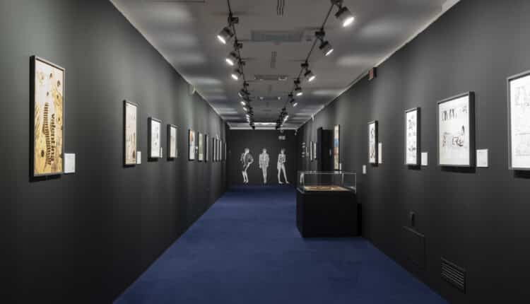 Tra arte, fumetto e sogno: la mostra su Guido Crepax a Brescia