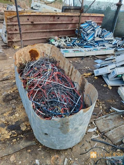 Catania, tre operazioni della polizia locale a tutela dell’ambiente e degli animali