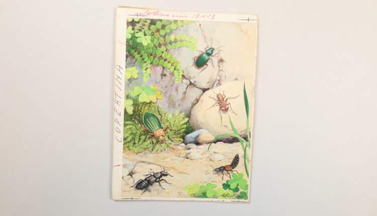 Jacovitti in mostra: mondi, viaggi e storie dall’archivio dell’Editrice La Scuola