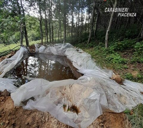 Monte Armeno: scoperta maxi piantagione di marijuana, sequestrate oltre mille piante.