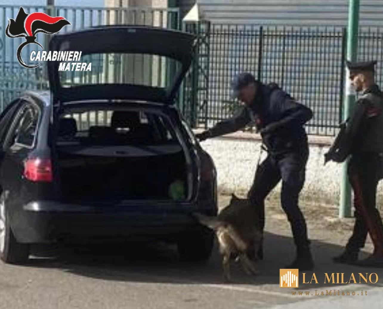 Quattro anni e due mesi di reclusione e 20.000 euro di multa, oltre al pagamento delle spese processuali e di quelle di mantenimento durante la custodia cautelare, è la condanna inflitta dal Giudice per le Indagini Preliminari del Tribunale di Matera nei confronti di un pregiudicato di Policoro, a processo con rito abbreviato per detenzione ai fini di spaccio di sostanza stupefacente. La vicenda processuale trae origine da una mirata attività finalizzata al contrasto dello spaccio di sostanze stupefacenti, posta in essere dai Carabinieri della Compagnia di Policoro, che il 18 dicembre 2024 avevano tratto in arresto il 40enne. In particolare, l’uomo era stato notato da una pattuglia di Carabinieri mentre camminava con atteggiamento sospetto in un’area periferica della cittadina jonica. Fermato e sottoposto a controllo, all’esito di una perquisizione personale minuziosa, è stato trovato in possesso di diversi involucri contenenti oltre 300 grammi di eroina e 27 grammi di marijuana, occultati all’interno dello zainetto che indossava. Nel corso della successiva perquisizione domiciliare, i militari hanno rinvenuto ulteriori 9 dosi di eroina, oltre a materiale per la pesatura, confermando la finalità di spaccio della sostanza detenuta.