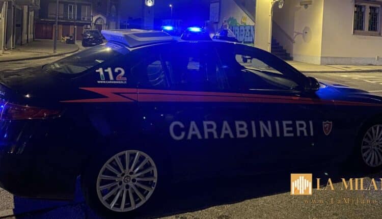 Riva Del Po: controlli “ad alto impatto” dei Carabinieri, scattano sanzioni, denunce e sequestri.