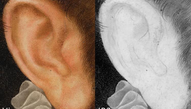 Milano, a Palazzo Reale la mostra “Art from Inside”: un viaggio tra arte e scienza