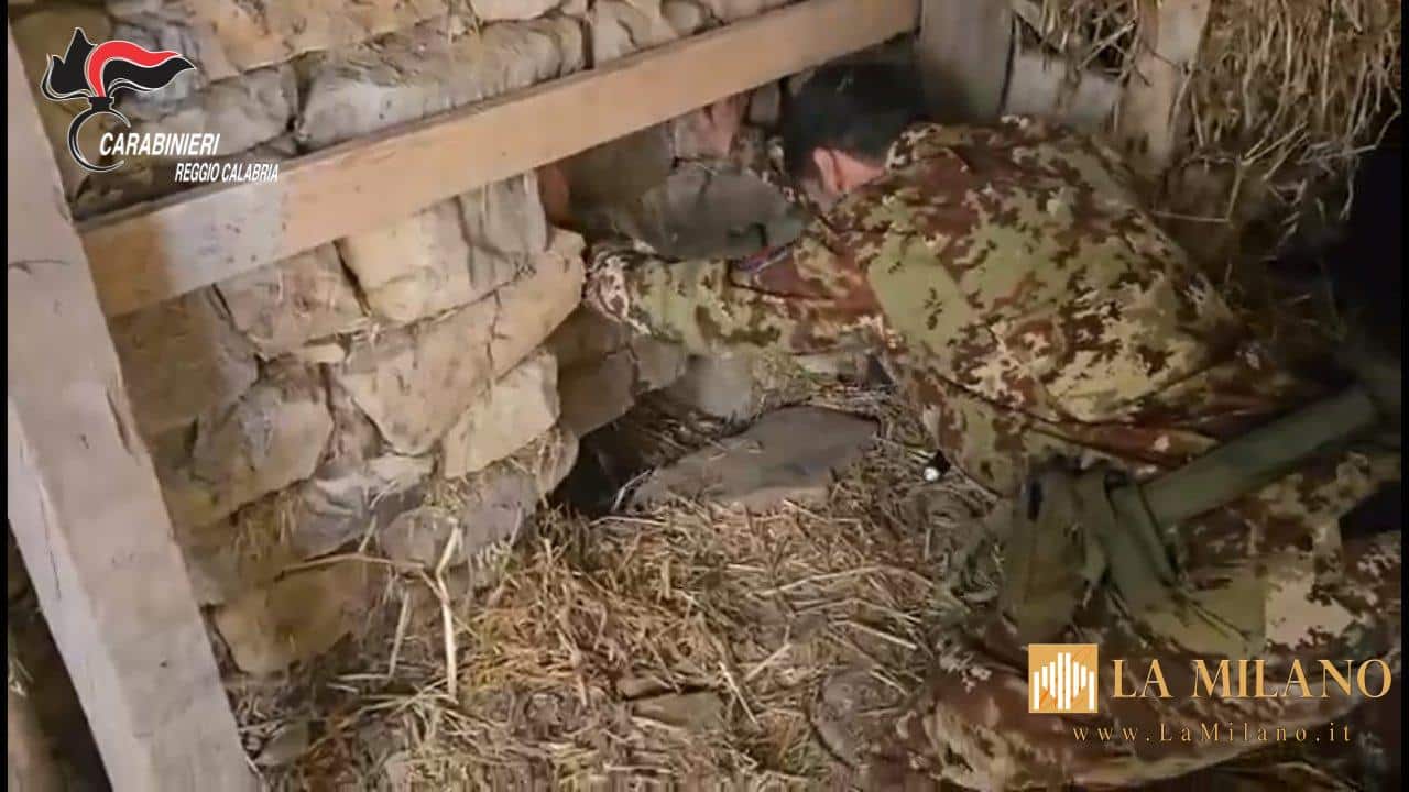 Platì: scoperto bunker sotterraneo con piantagione di marijuana “indoor”, denunciato un 67enne