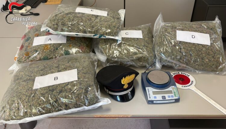 Pescara, maxi sequestro di marijuana: arrestato 44enne, trovati quasi 10 chili di droga in casa
