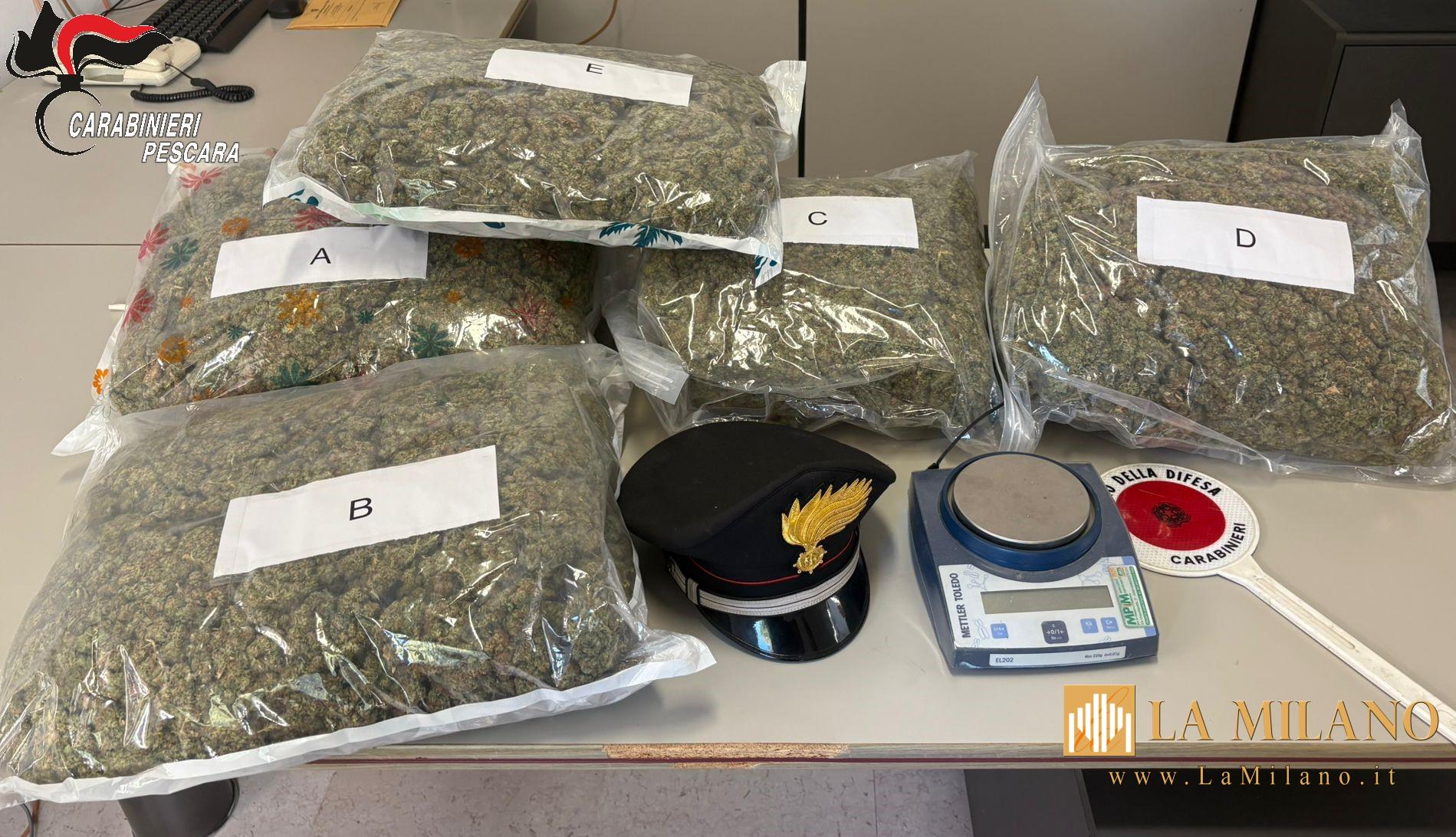 Pescara, maxi sequestro di marijuana: arrestato 44enne, trovati quasi 10 chili di droga in casa