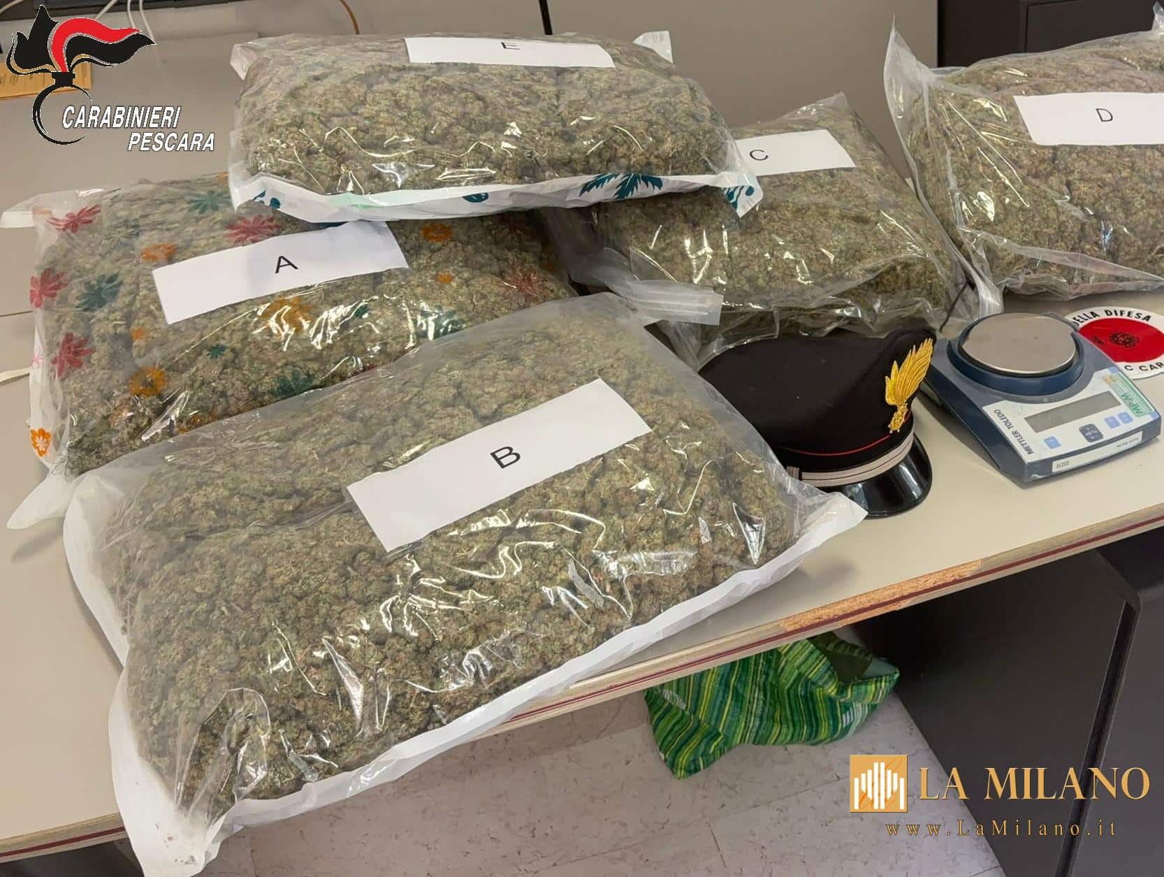 Pescara, maxi sequestro di marijuana: arrestato 44enne, trovati quasi 10 chili di droga in casa