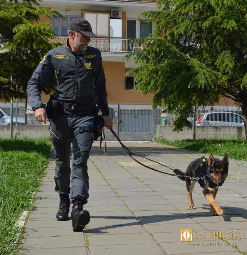 Spoltore, nasconde oltre un chilo di cocaina nel giardino con i giochi della figlia: arrestato 27enne albanese dai Carabinieri