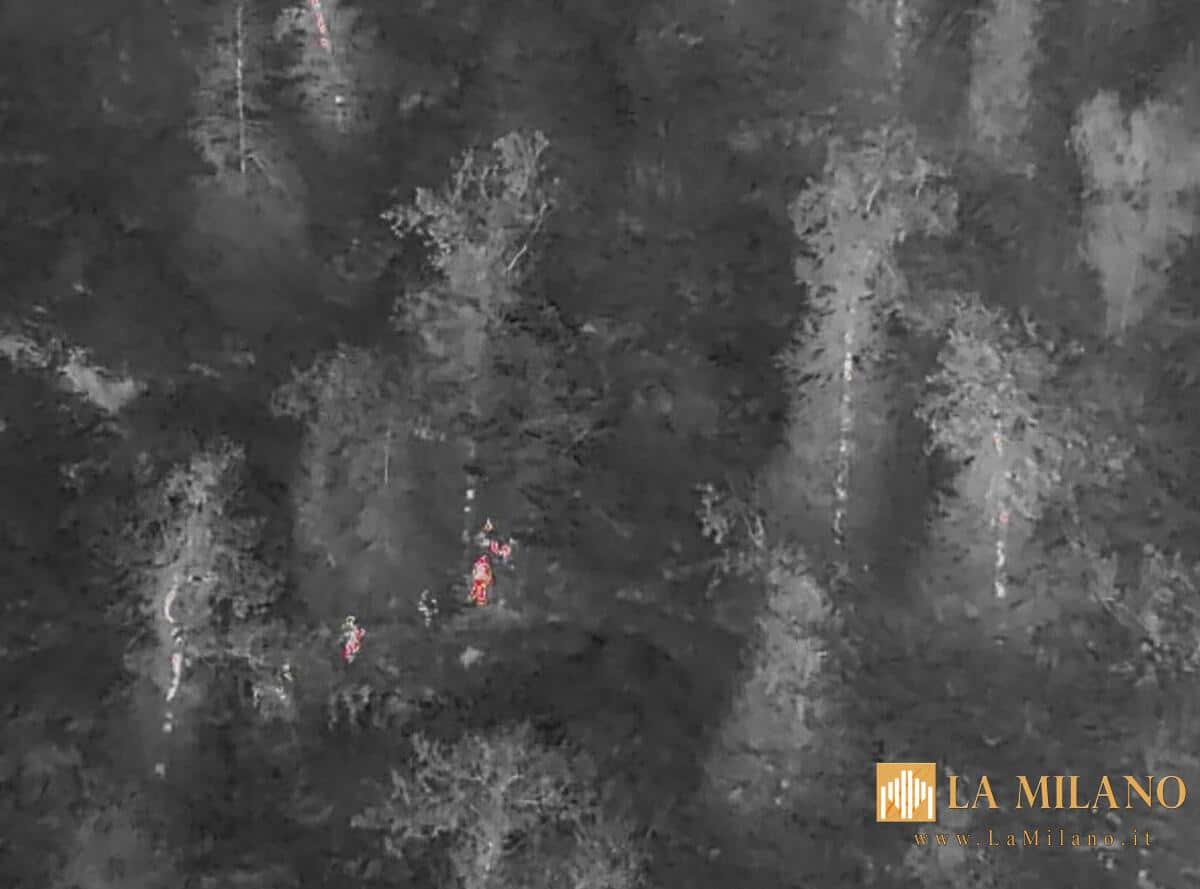 Sondrio, blitz antidroga nei boschi di Talamona: arrestato dalla Polizia di Sondrio il pusher in fuga